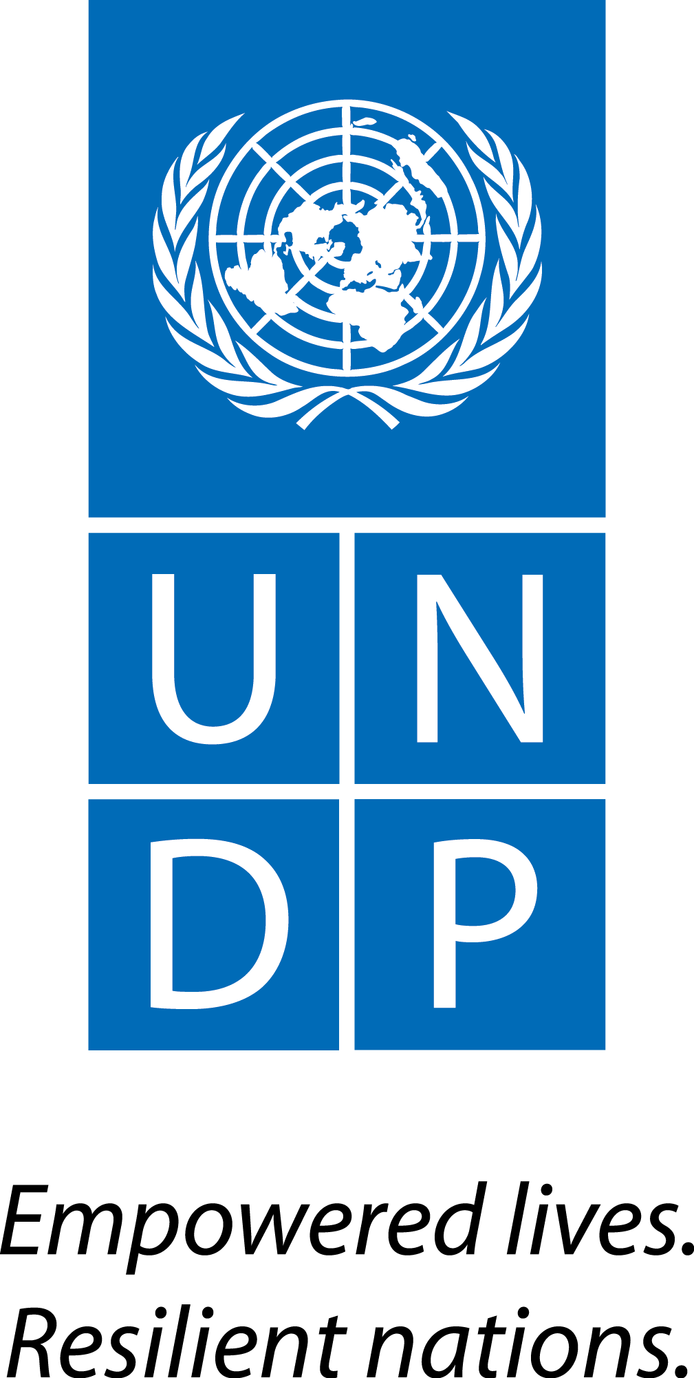 UNDP