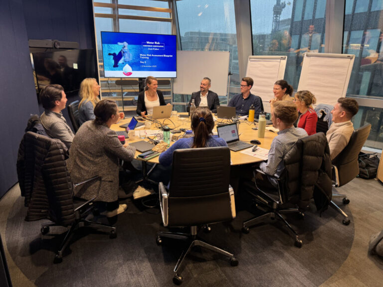 Water experts meeting